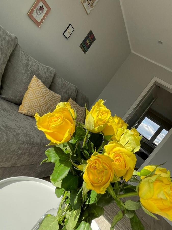 ראדום Luxury White Apartment By Marta מראה חיצוני תמונה